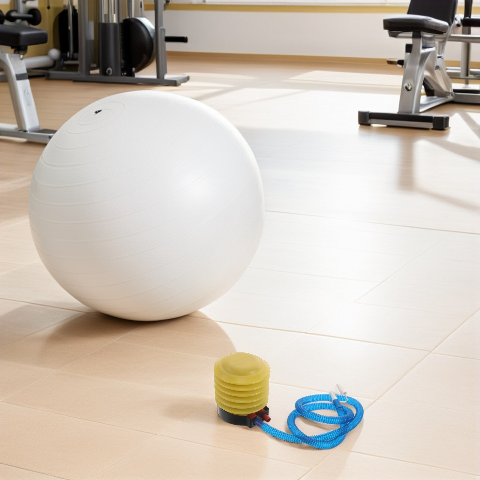 Set Pompa per Palla Yoga con G - Pilates Is Yoga recensione e prezzo
